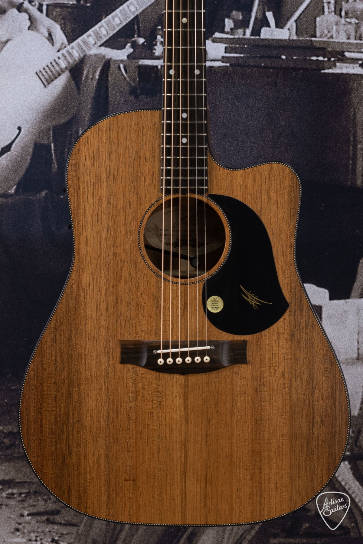 Maton Guitars All-Blackwood EBW-70C Dreadnought - 16226