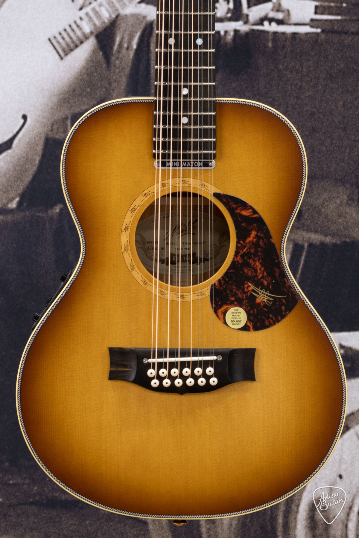 Maton Guitars EMD12 Diesel Mini - 16337