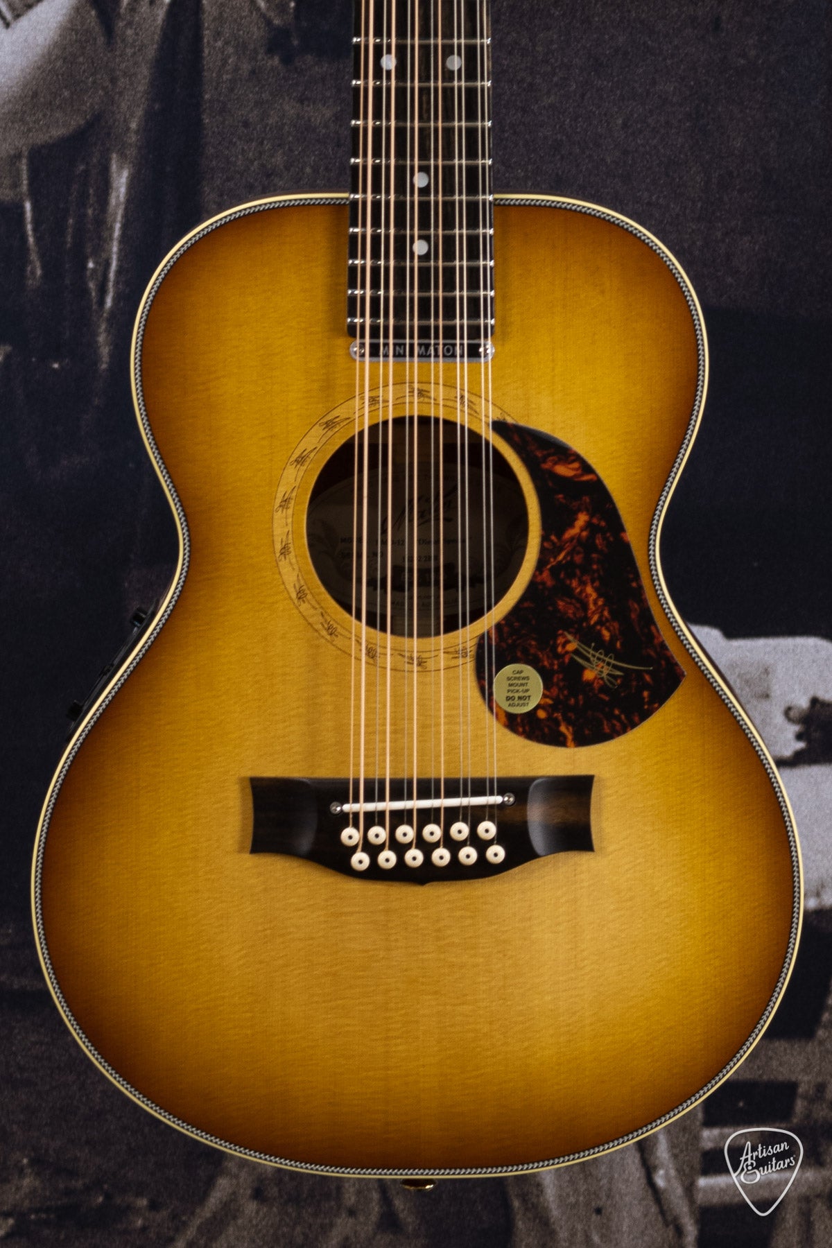 Maton Guitars EMD12 Diesel Mini - 16282