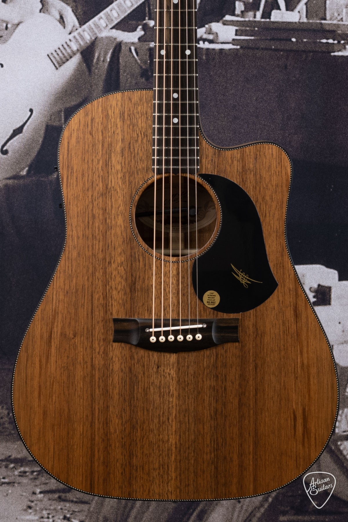 Maton Guitars All-Blackwood EBW-70C Dreadnought - 16171