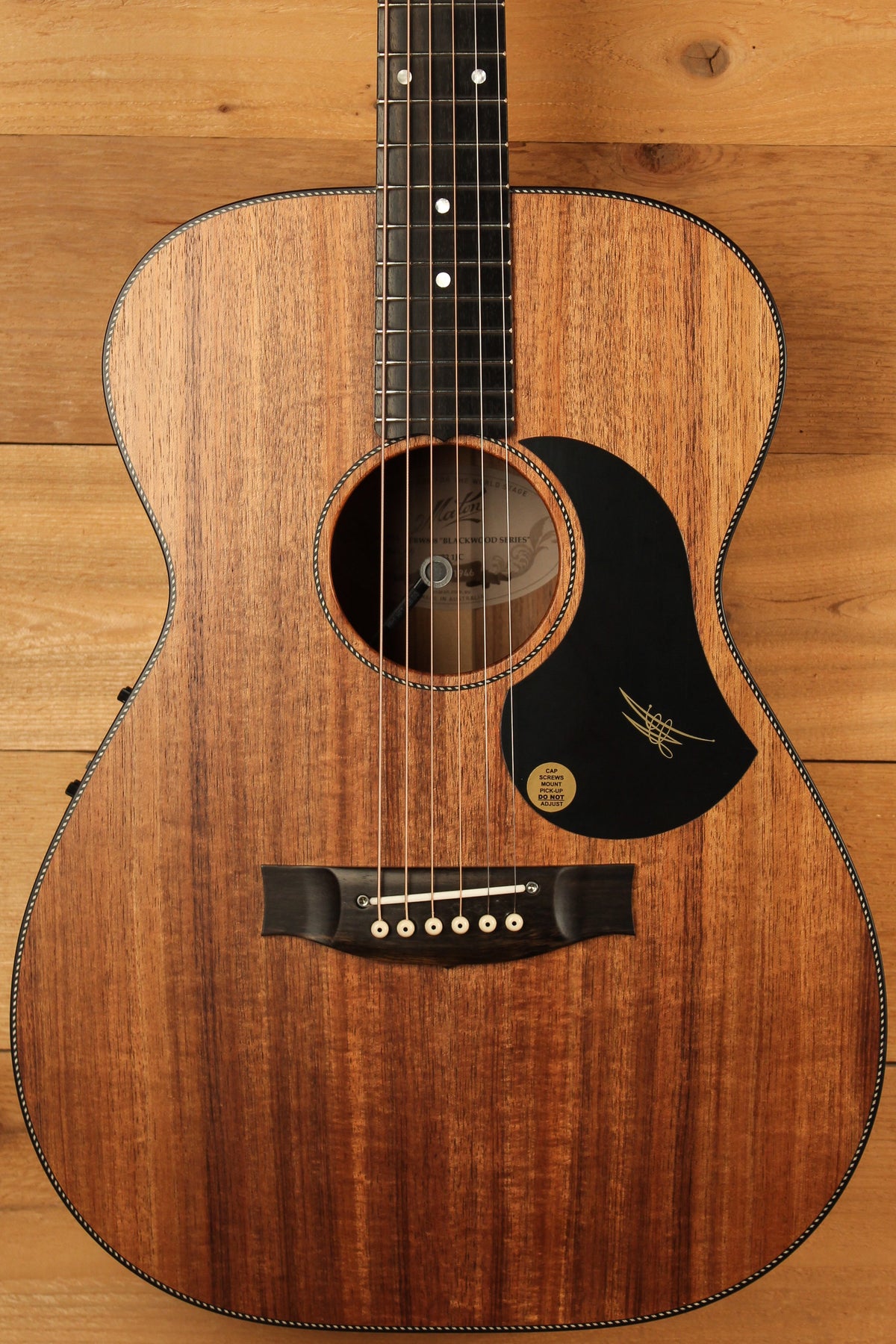 Maton EBW808 Guitar w/ Blackwood Top, Back & Sides w/ AP5 Pro Pickup System ID-13312 - Artisan Guitars