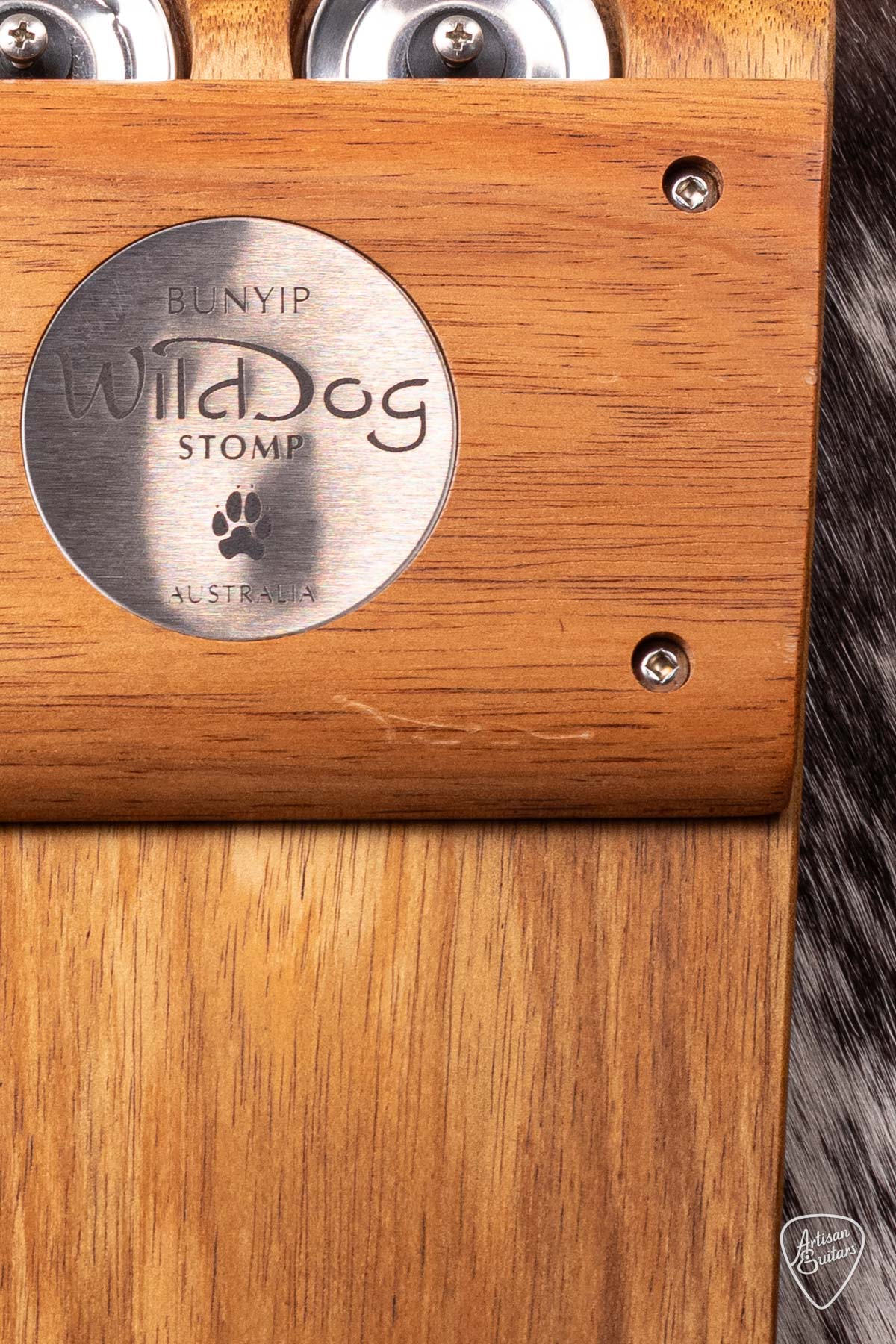 Wild Dog Bunyip Stomp Box - 170125