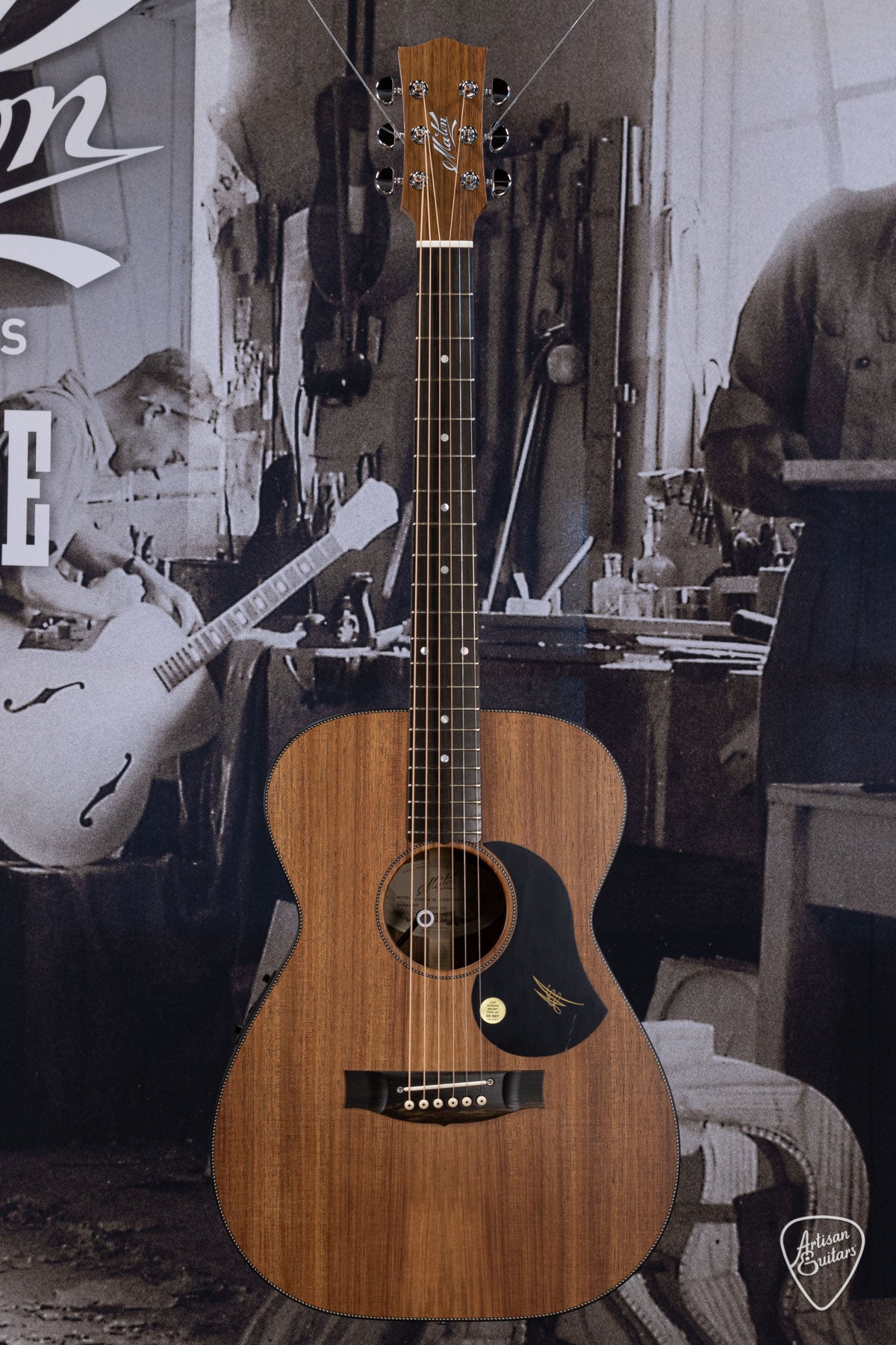 Maton Guitars All-Blackwood EBW-808 - 16219