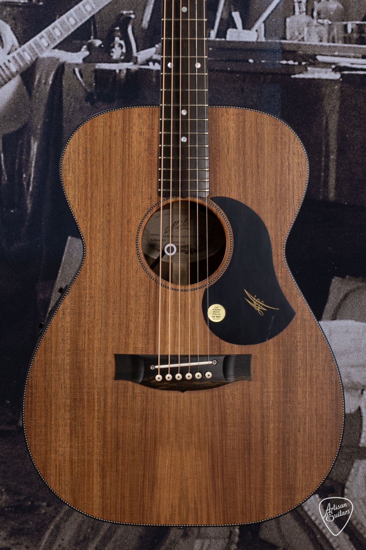 Maton Guitars All-Blackwood EBW-808 - 16219