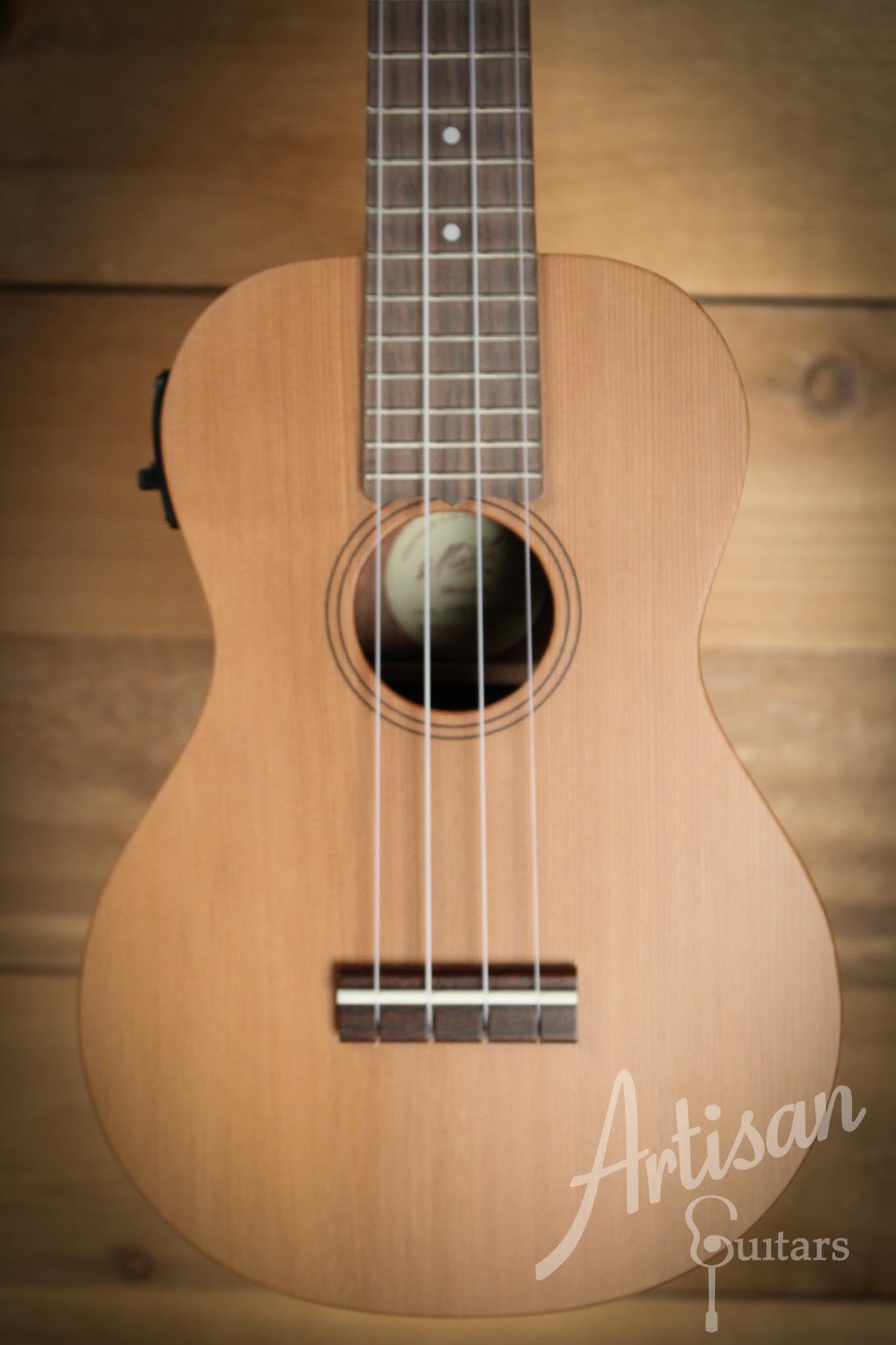 Maton Concert Ukulele Cedar and Victorian Blackwood with B-Band pickup  ID-10010 - Artisan Guitars