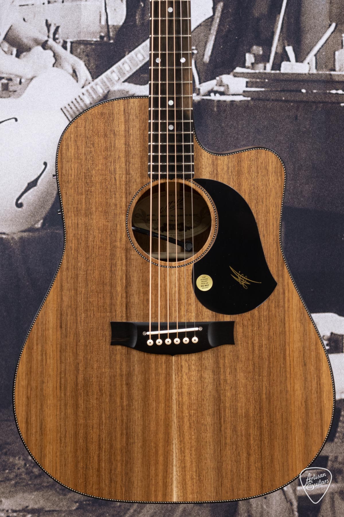 Maton Guitars All-Blackwood EBW-70C Dreadnought - 16356