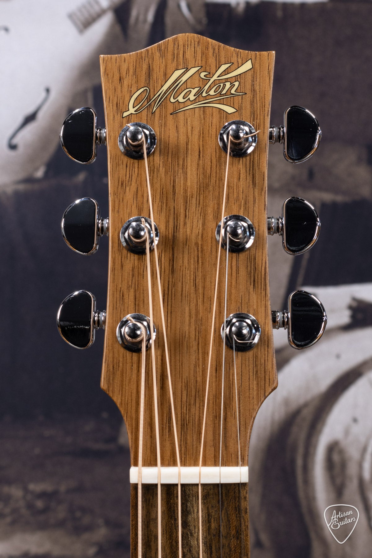 Maton Guitars Performer EBG-808C - 16348
