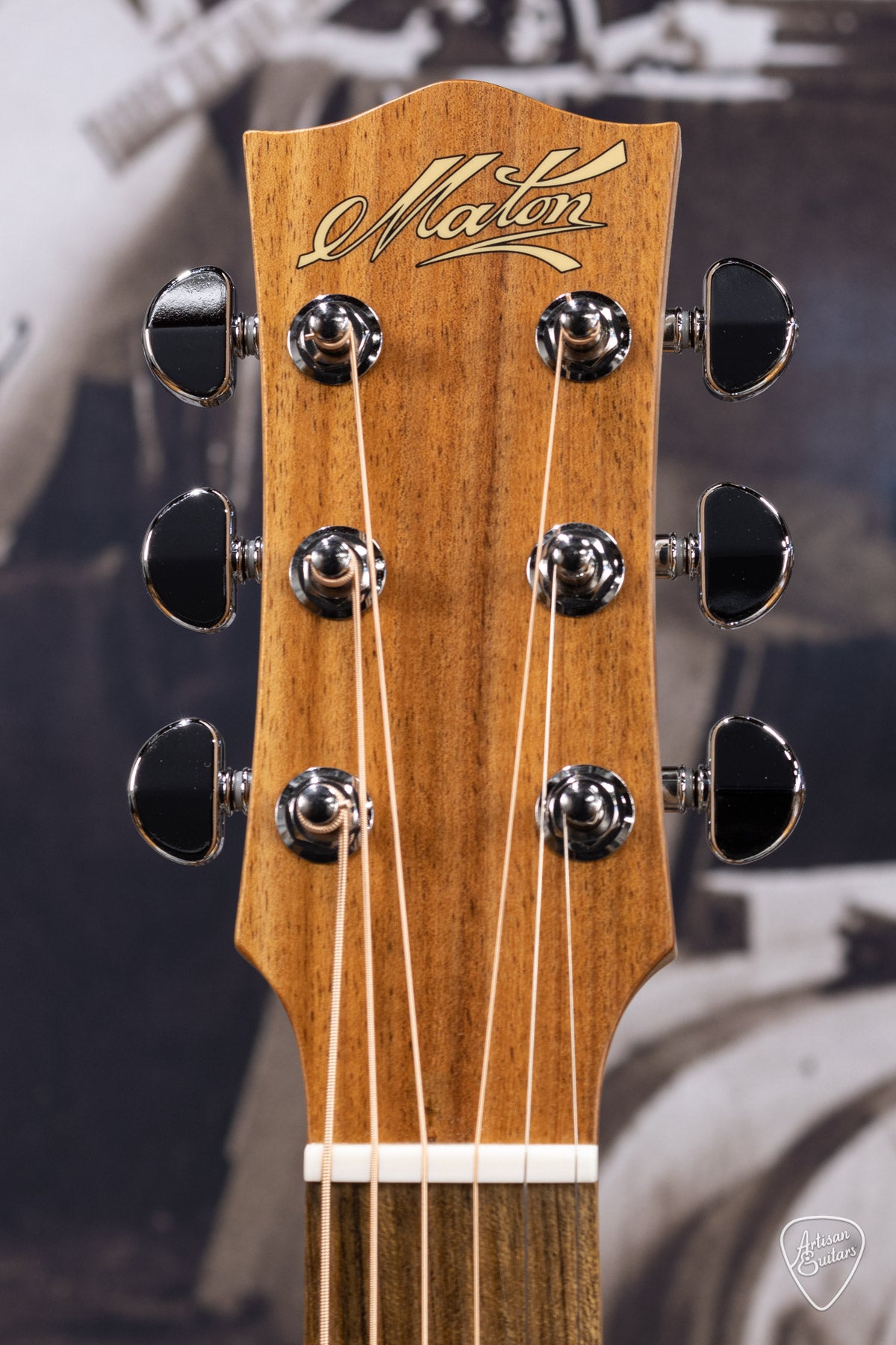 Maton Guitars Performer EBG-808C - 16347
