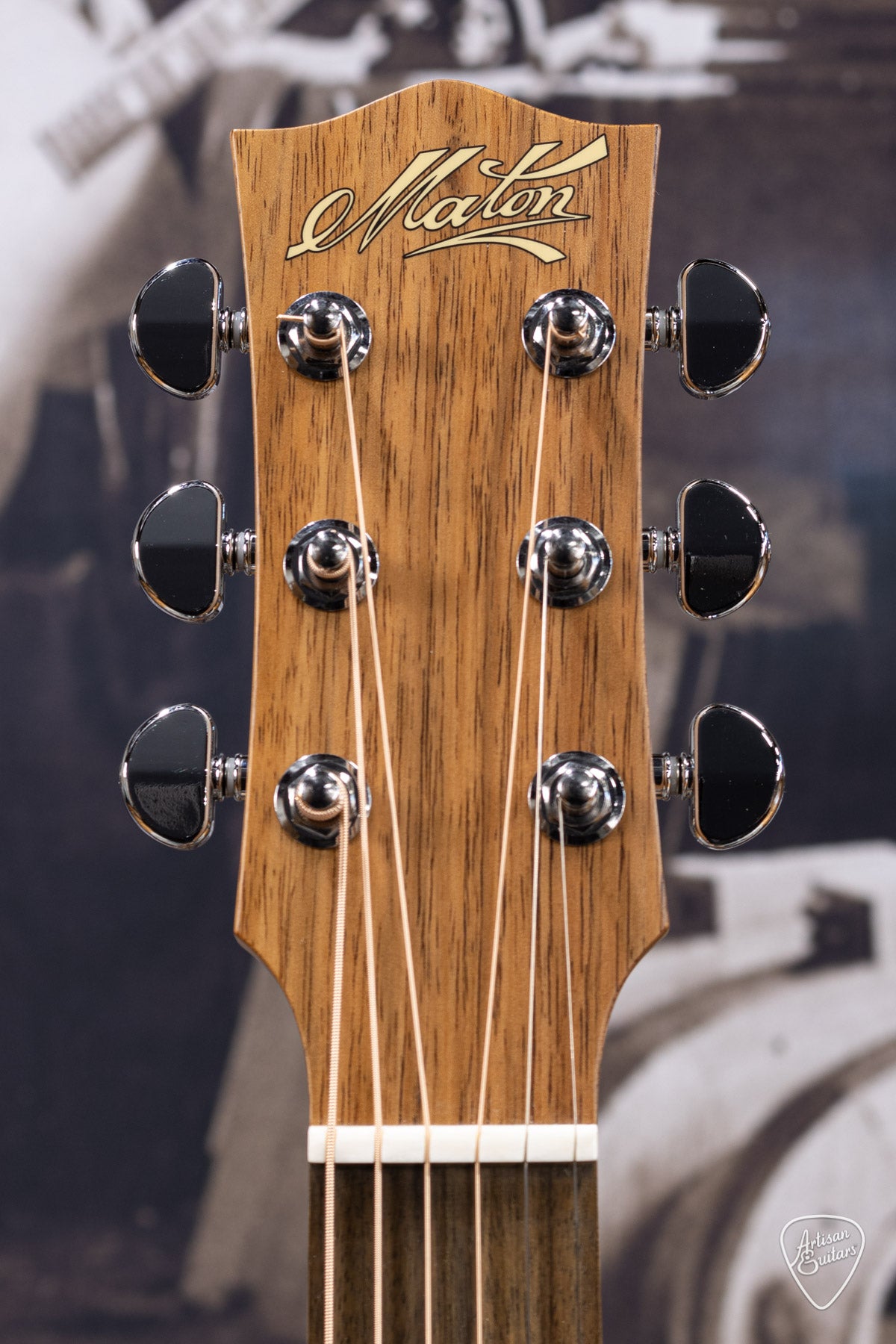 Maton Guitars Performer EBG-808C - 16349