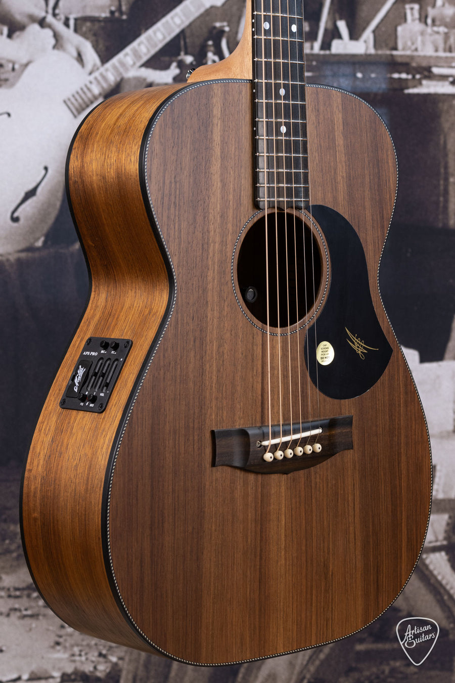 Maton Guitars All-Blackwood EBW-808 - 16296