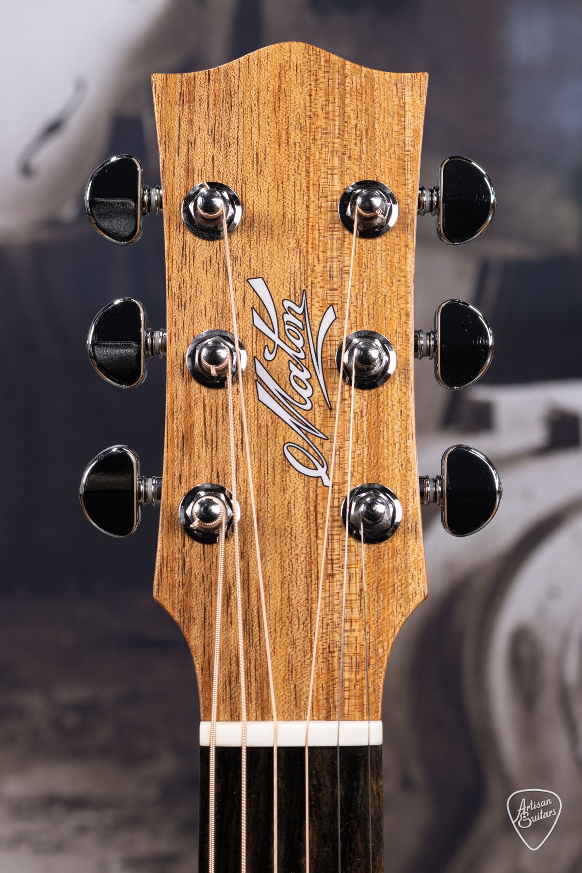 Maton Guitars All-Blackwood EBW-808 - 16297
