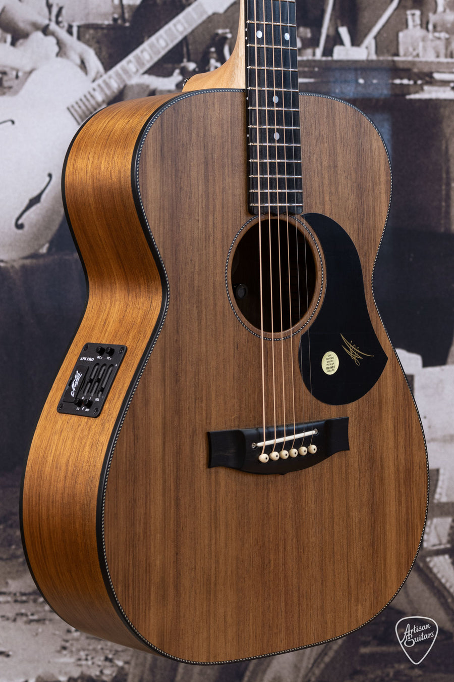 Maton Guitars All-Blackwood EBW-808 - 16297