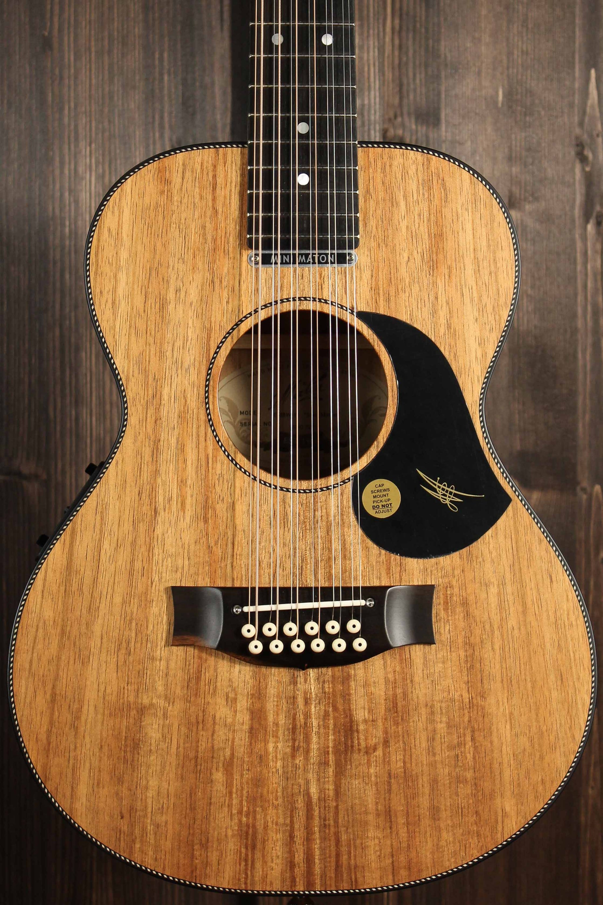 oud Verkeerd Bedankt Maton Guitars EMBW 12 String Blackwood Mini - 14138 | Artisan Guitars