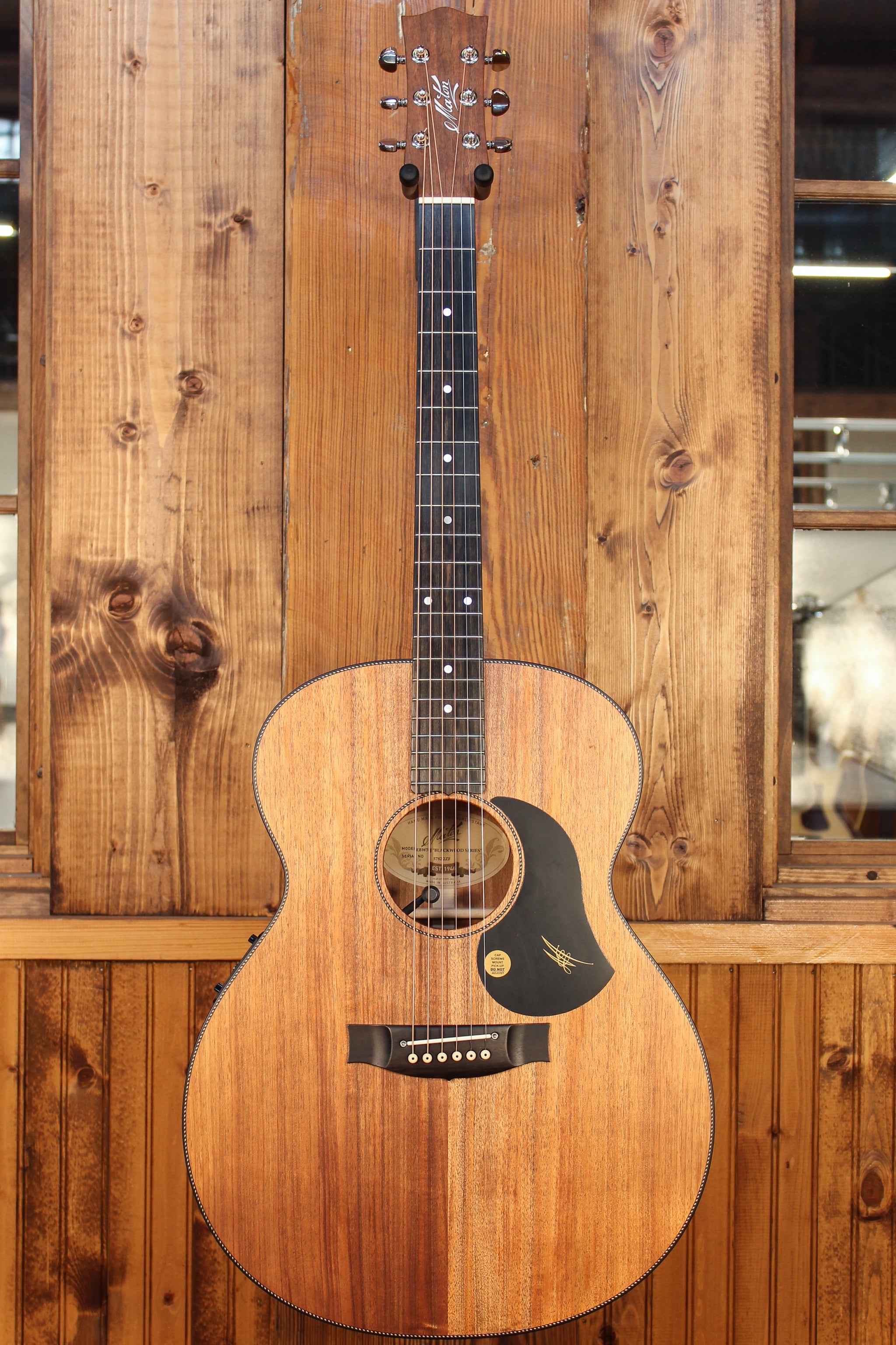 Maton EBW70J Blackwood Jumbo w/ AP5 Pro - Artisan Guitars