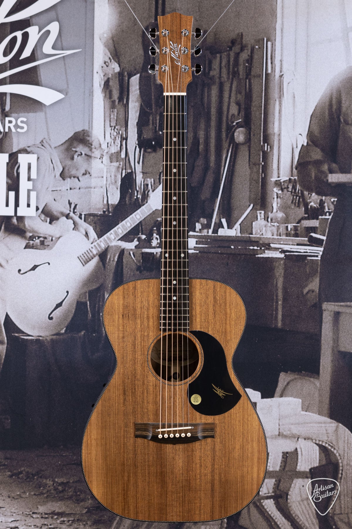 Maton Guitars All-Blackwood EBW-808 - 16220