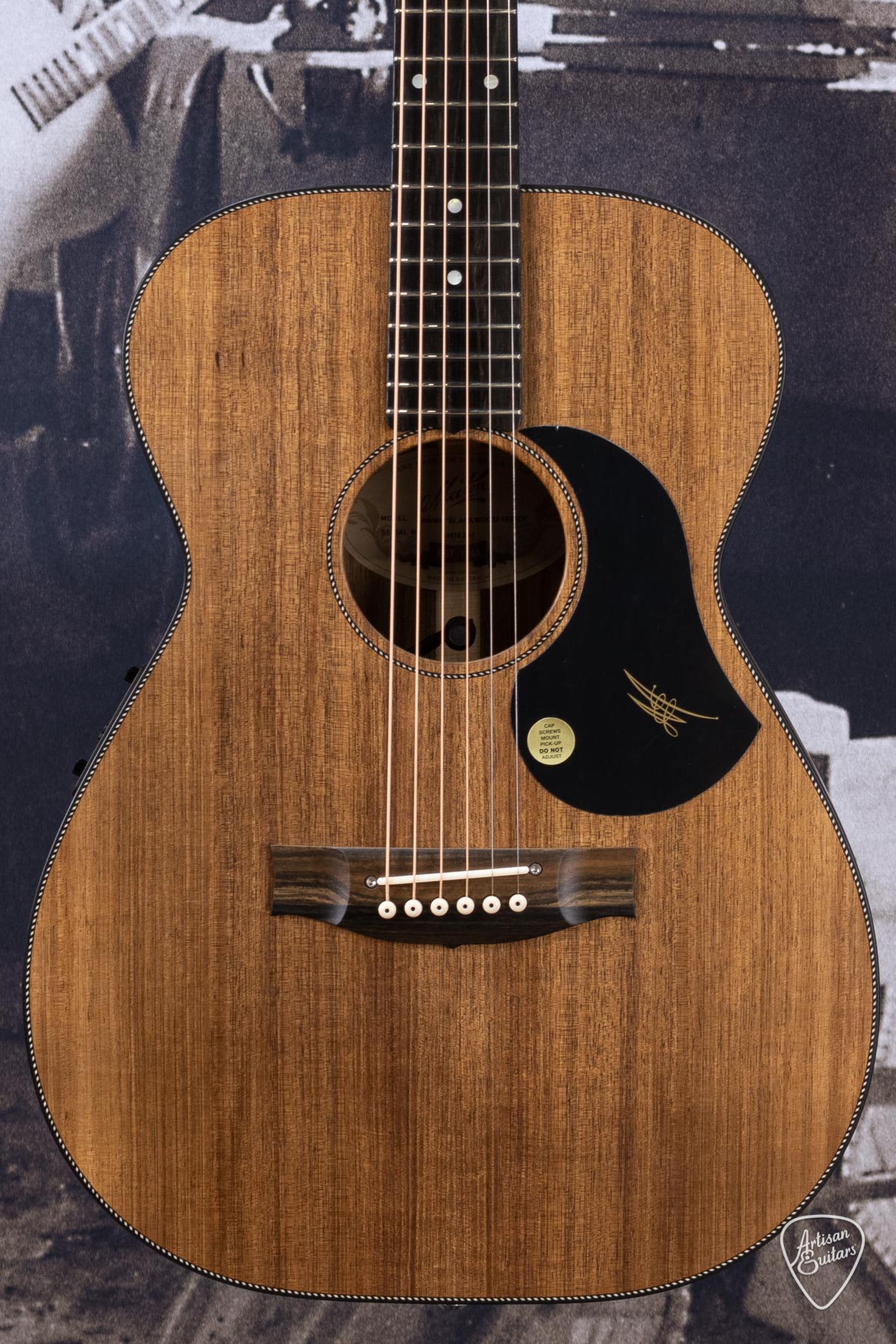 Maton Guitars All-Blackwood EBW-808 - 16220