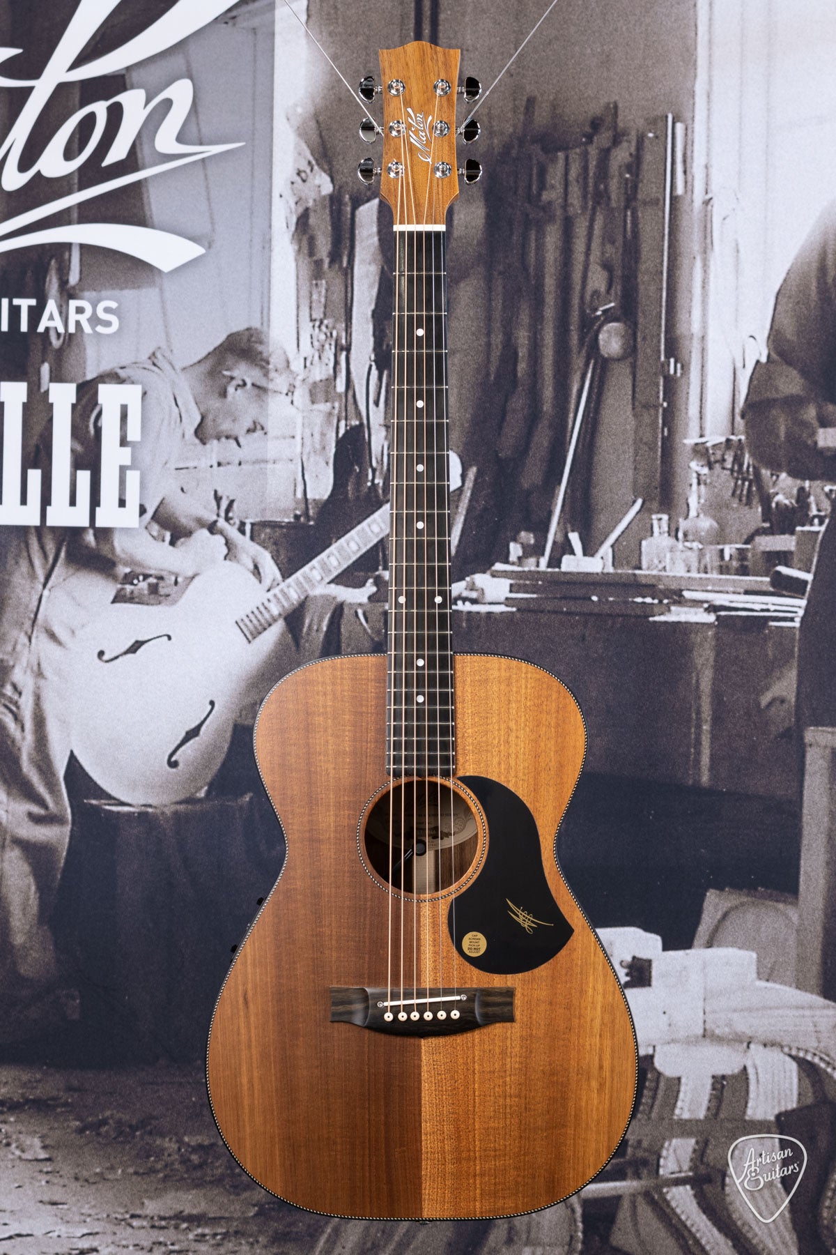 Maton Guitars All-Blackwood EBW-808 - 16168