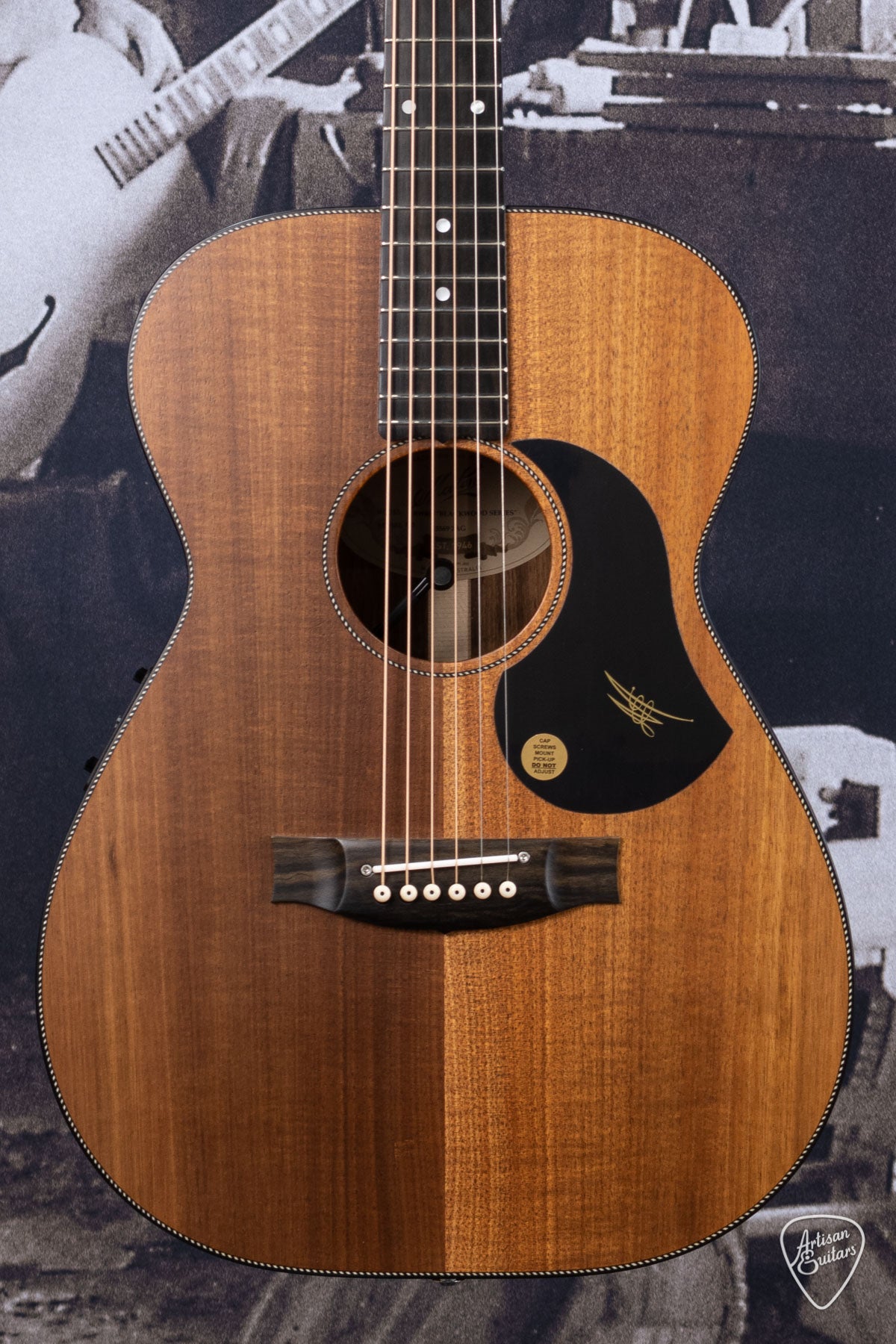 Maton Guitars All-Blackwood EBW-808 - 16168