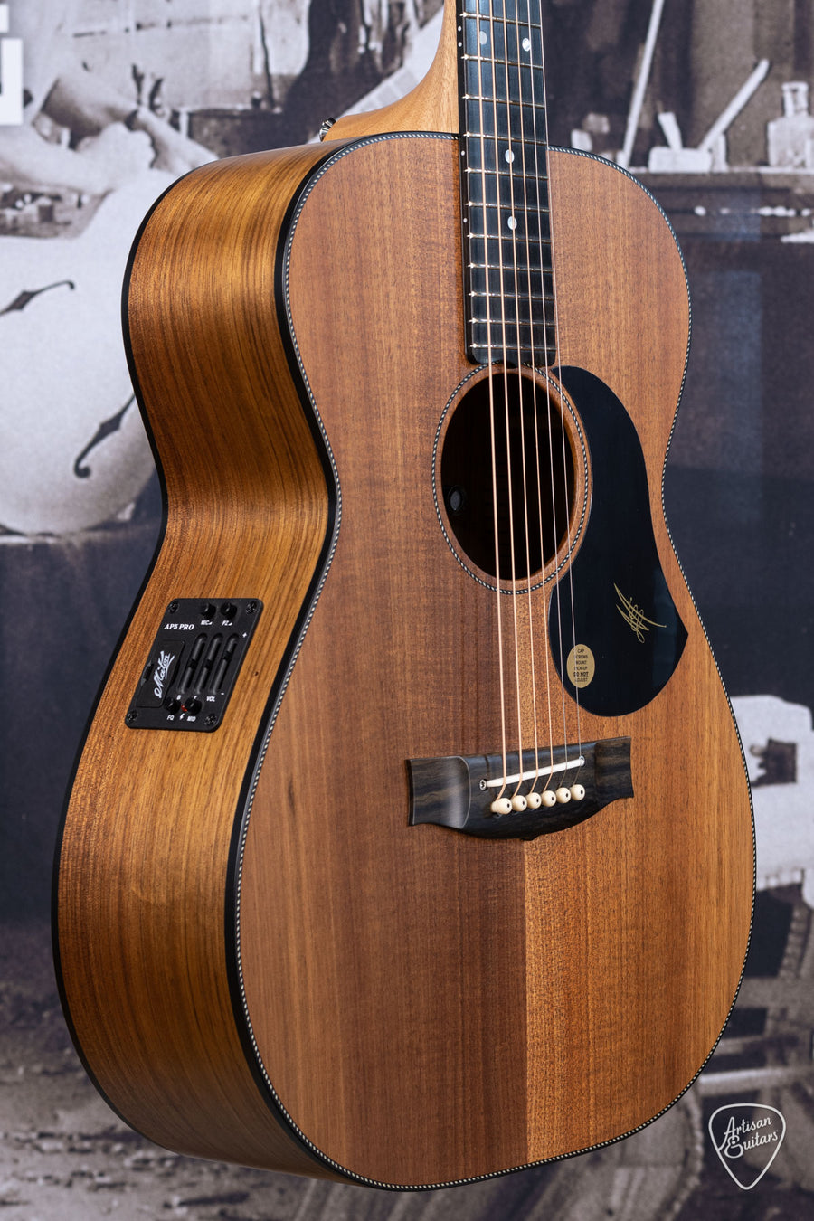 Maton Guitars All-Blackwood EBW-808 - 16168