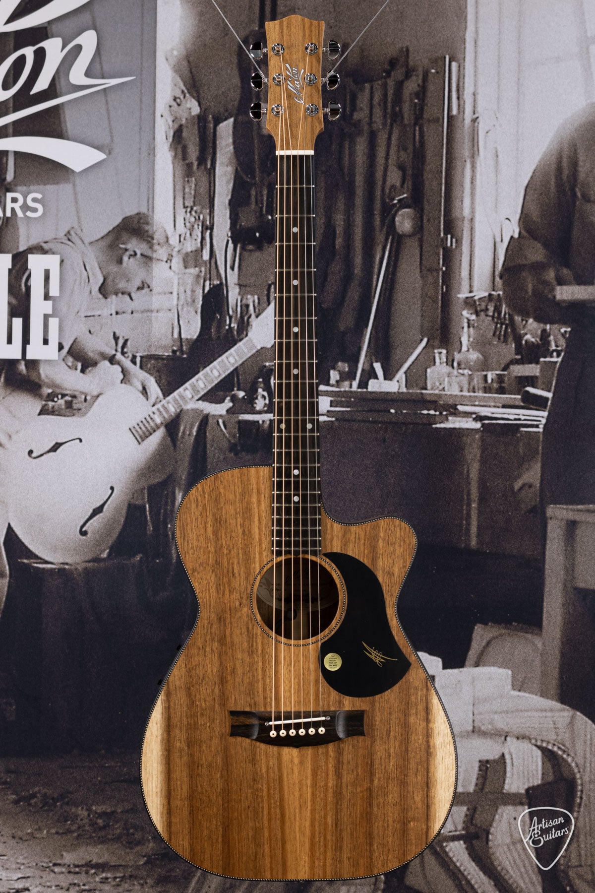Maton Guitars All-Blackwood EBW-808C Cutaway - 16223