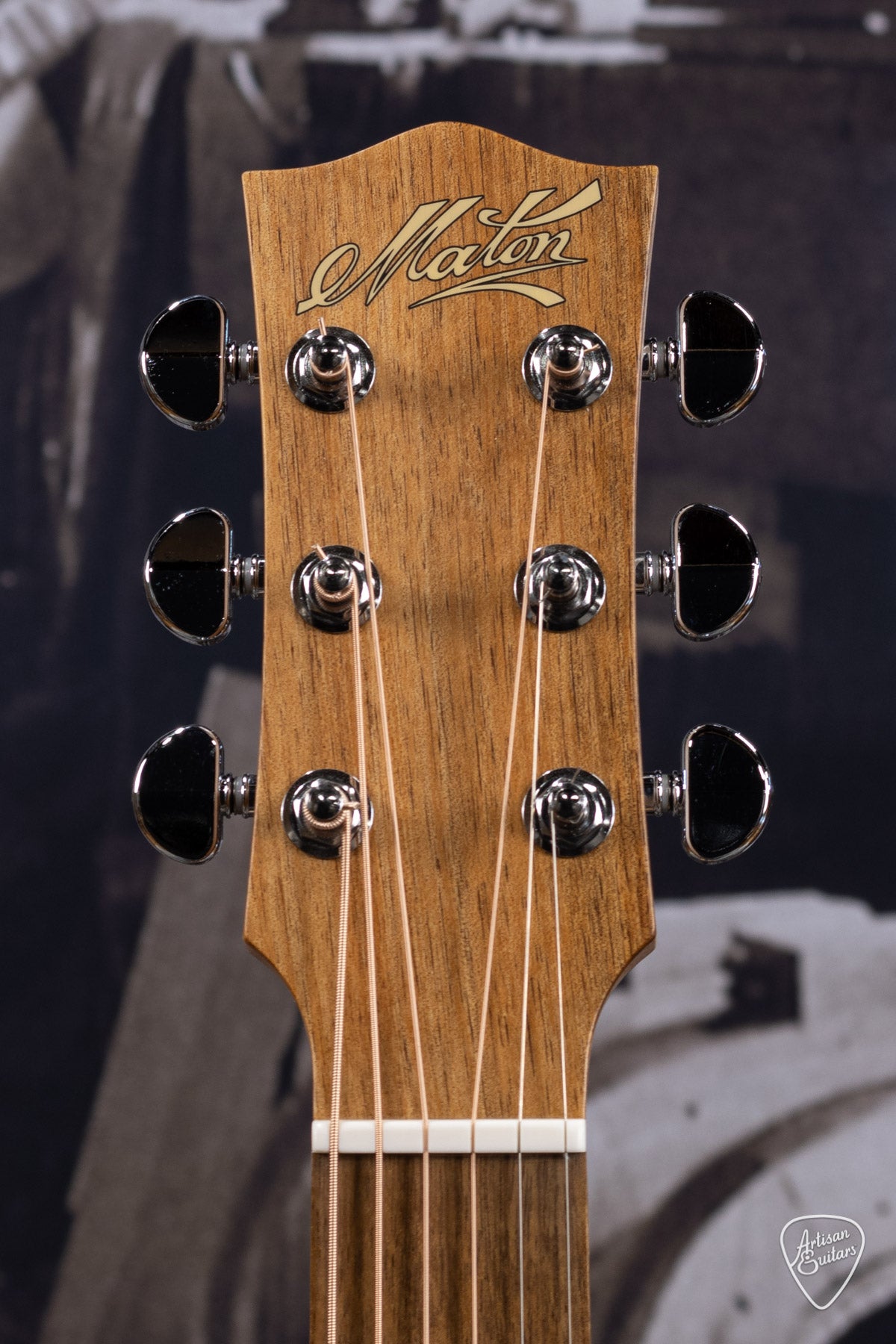 Maton Guitars Performer EBG-808C - 16153