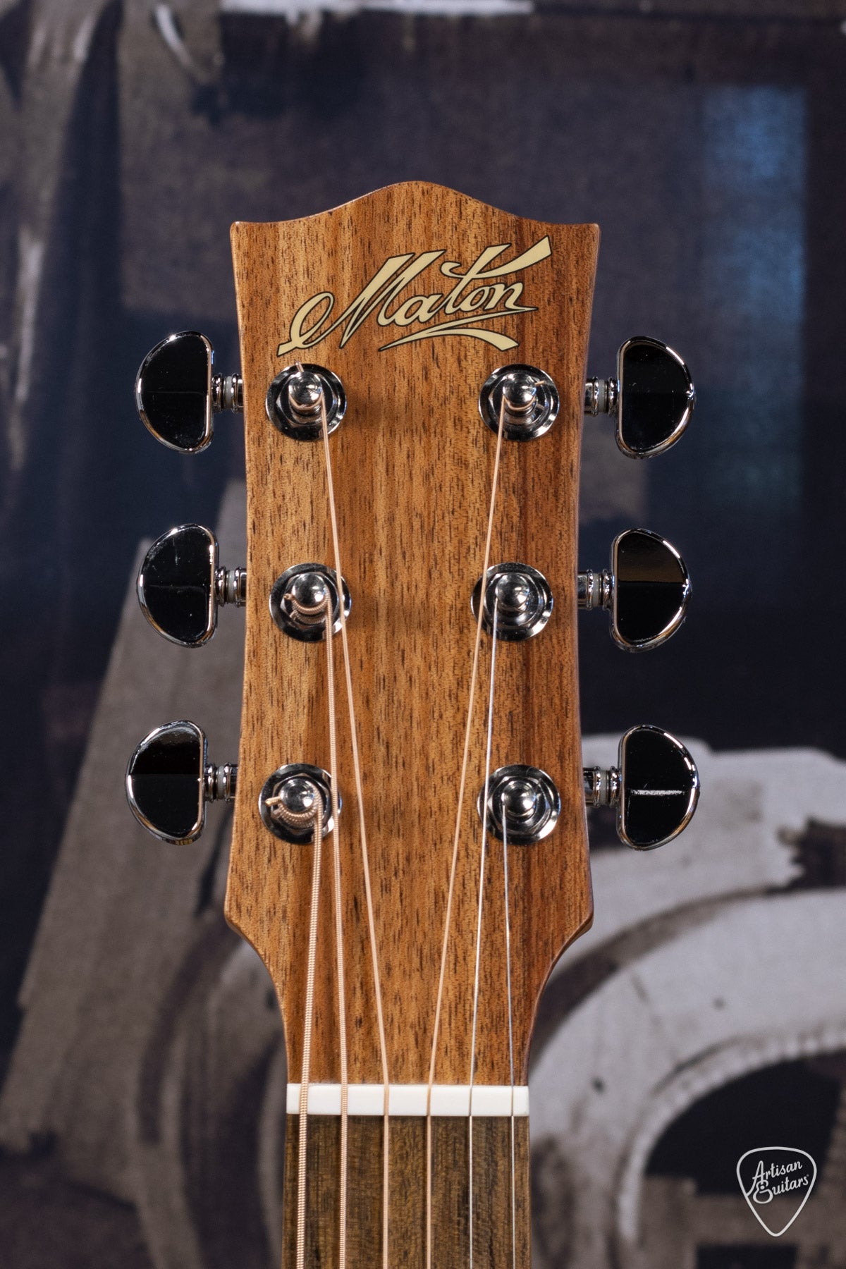 Maton Guitars Performer EBG-808C - 16216