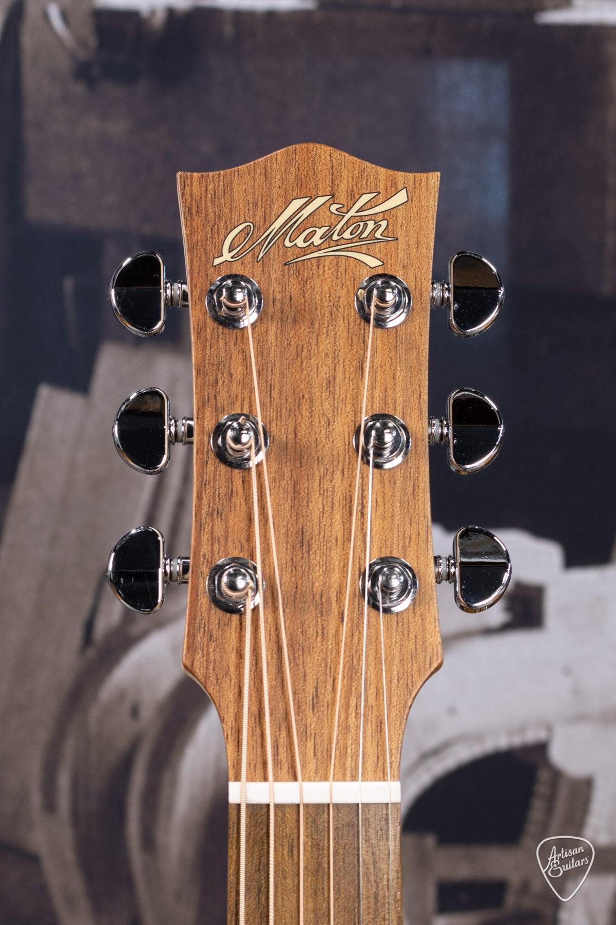 Maton Guitars Performer EBG-808C - 16217