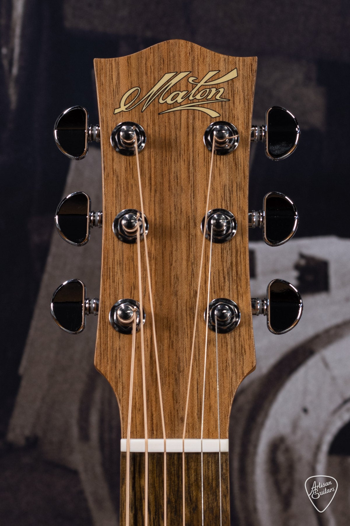 Maton Guitars Performer EBG-808C - 16218