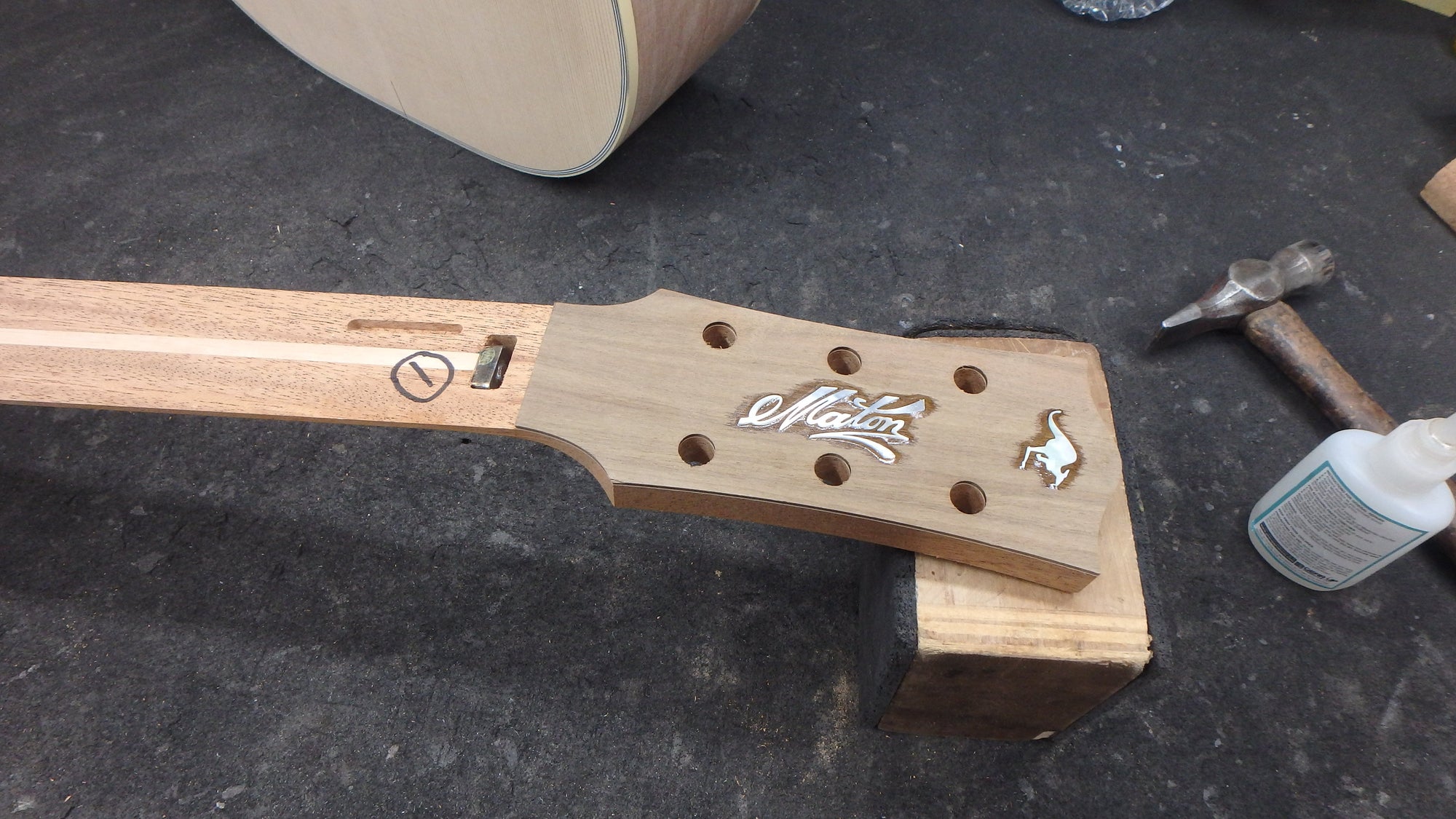 Maton T.E Personal Guitar Sitka Spruce and AAA"Bees Wings" Queensland Maple ID-11722 - Artisan Guitars