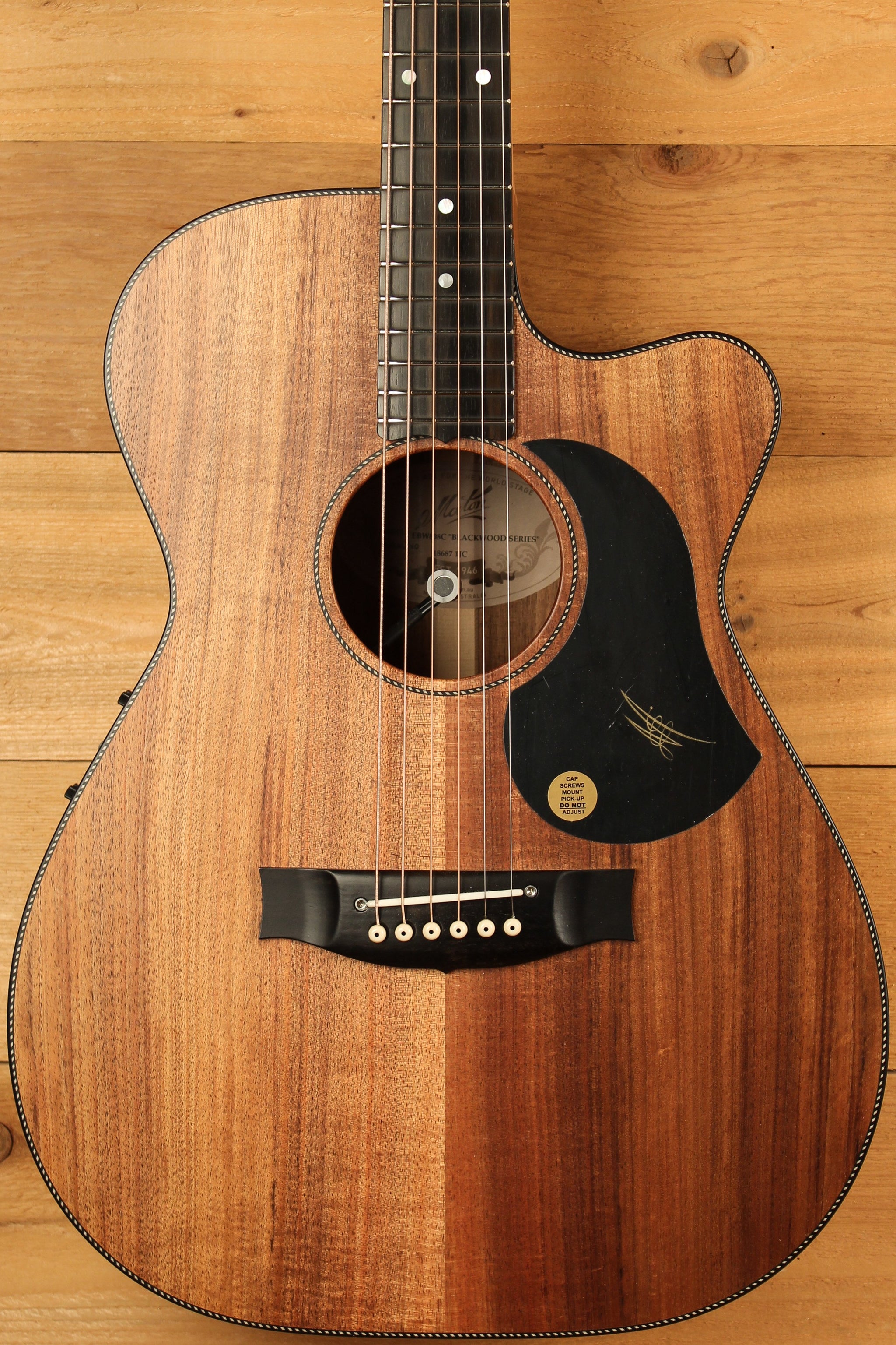 Maton EBW808 Cutaway Guitar w/ Blackwood Top, Back & Sides w/ AP5 Pro Pickup System ID-13461 - Artisan Guitars